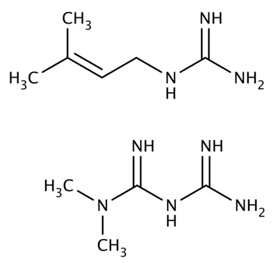 兩種胍類小分子，山羊豆堿（上）和二甲雙胍（下）