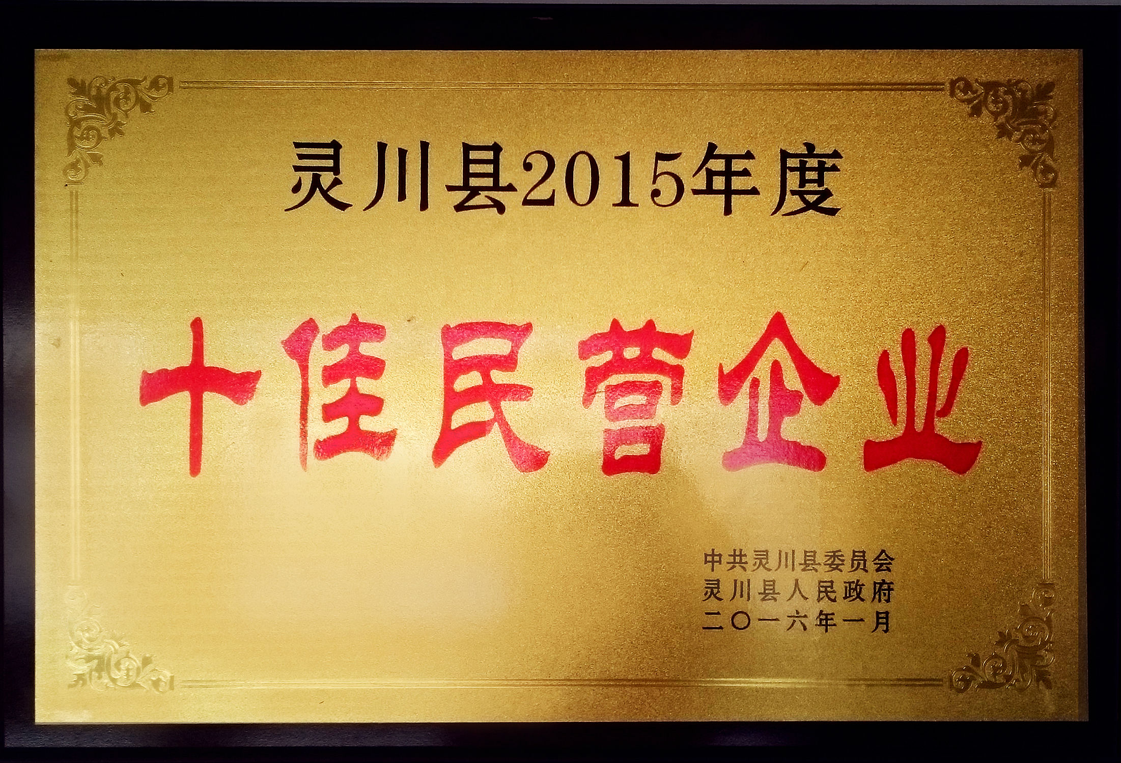 桂林華信制藥榮獲十佳民營(yíng)企業(yè)